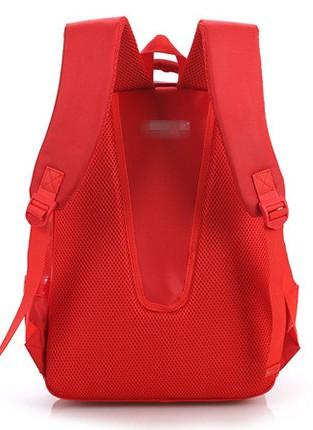 Polyester & Nylon School Bag